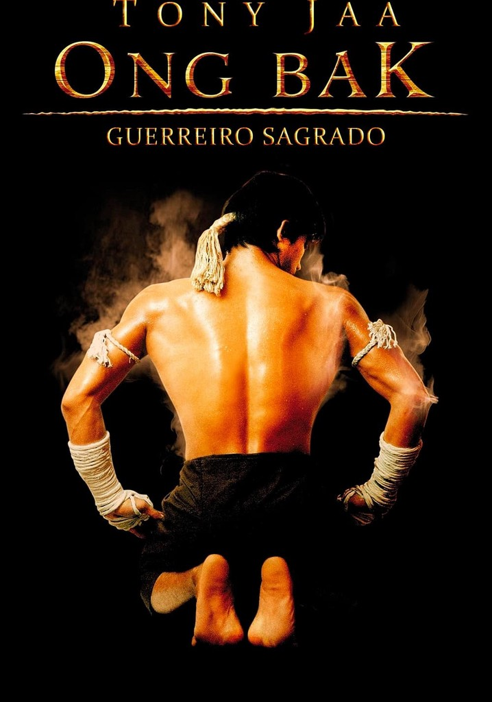 Os Melhores Filmes De Muay Thai Para Assistir Online Ci Ncia Do Ringue