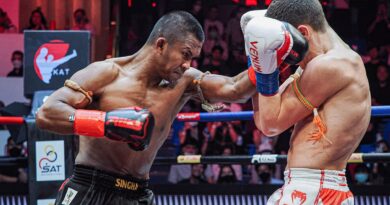 <strong>Quanto mede a força de um soco?</strong>